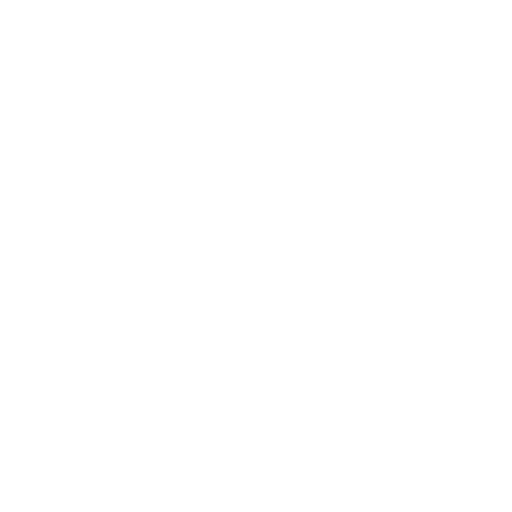 coachboat - bravoboats