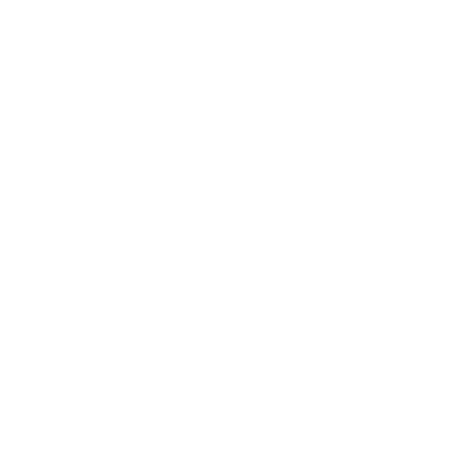pressboat - bravoboats